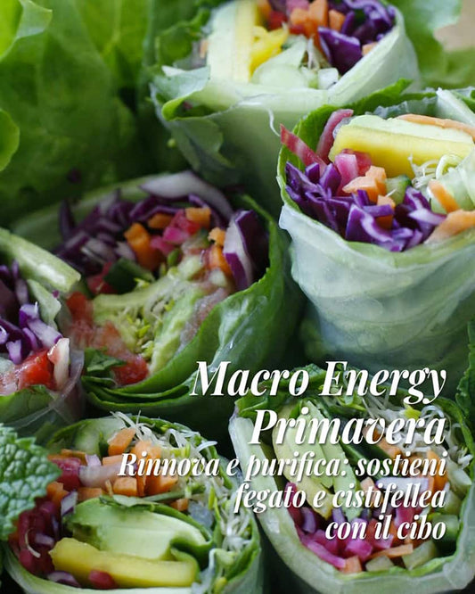 TRIESTE - MACRO ENERGY PRIMAVERA